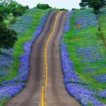 March/April Newsletter”